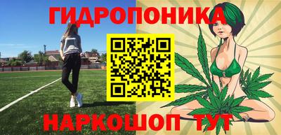 ГАЛЛЮЦИНОГЕННЫЕ ГРИБЫ Кингисепп