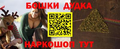 ГАЛЛЮЦИНОГЕННЫЕ ГРИБЫ Кингисепп