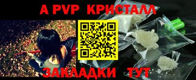 стаф Кимры