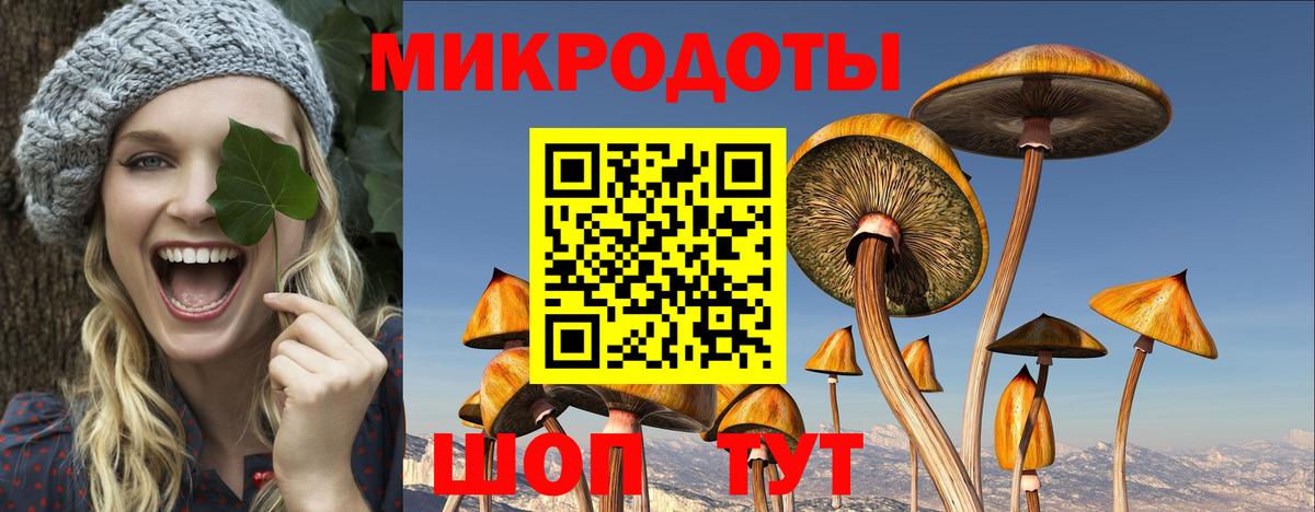 Кувандык  Псилоцибиновые грибы Cubensis  Вход с VPN  Псилоцибиновые грибы Cubensis 